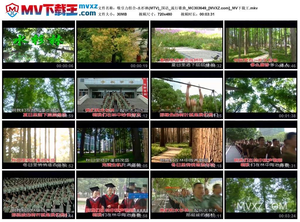 吸引力组合-水杉林(MTV)_国语_流行歌曲_MC303649